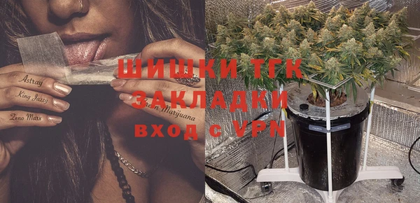 ешки Иннополис
