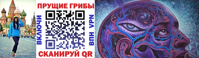 купить закладку  MEGA маркетплейс  Псилоцибиновые грибы прущие грибы  Ветлуга 